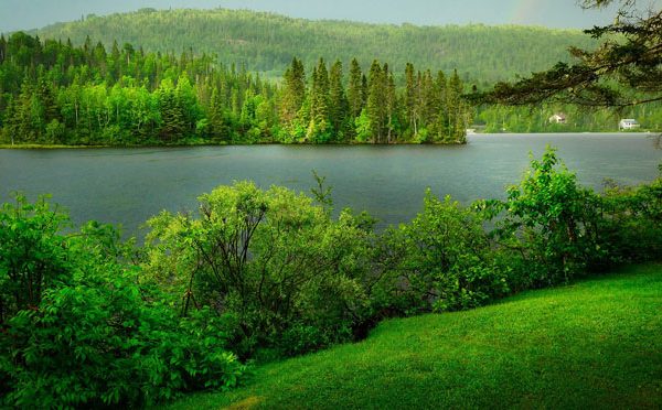 Compensare l'impronta di carbonio delle proprie vacanze in campeggio