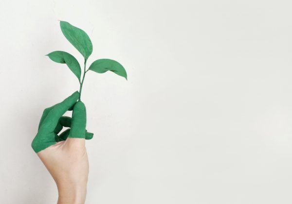 Come scegliere il proprio campeggio ecologico?