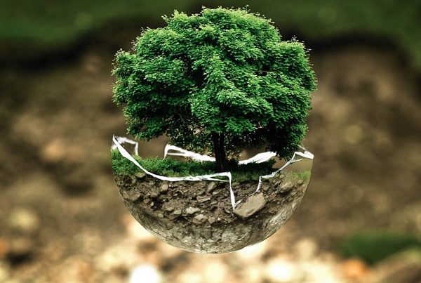 Zero rifiuti: Consigli per un campeggio rispettoso dell'ambiente