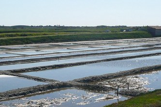 Marais salants Île de Ré