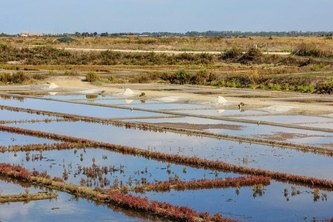 Séjour bord de mer au Camping de l'Île Blanche