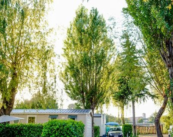 Emplacement arboré nature — Camping L'Oasis du Verdon PNR Verdon