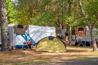 Emplacement sous les pins Camping Sen-Yan
