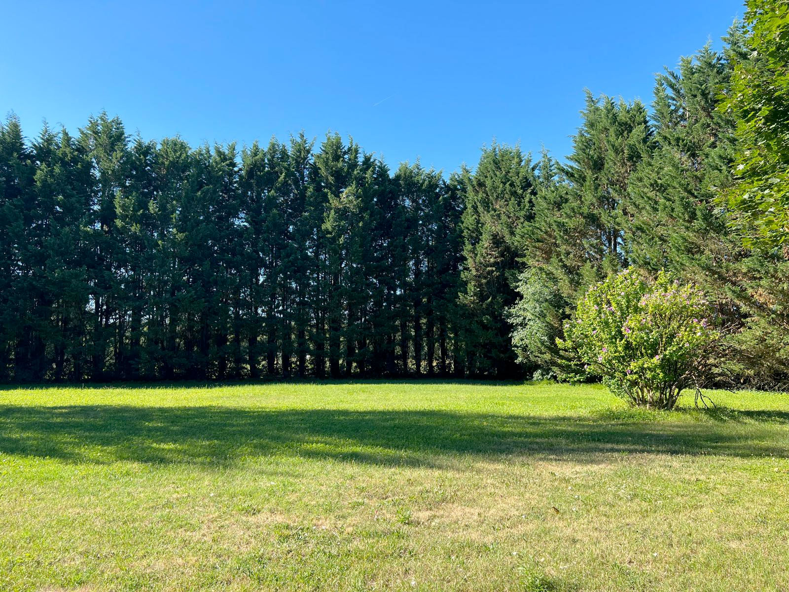 Forêt de Fontainebleau à proximité